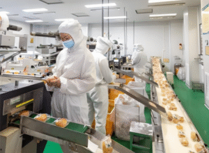 Cookie Cartoning Case Study: Hot-Melt Glue Sealing Cuts Staffing from 8 to 2