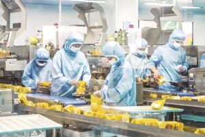 Food Packaging Line Upgrade: From Folding to Cartoning Automation